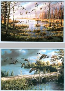 2 Postcards KEN ZYLLA Artist Signed MALLARD DUCKS & CANADIAN GEESE 4x6