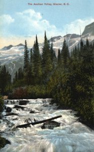 Vintage Postcard 1910's The Asulkan Valley Glacier British Columbia Canada CAN