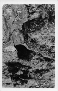 J76/ Arco Idaho RPPC Postcard c1930s Craters of the Moon Geology 397