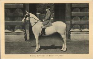 TUCK Royel Mews Buckingham Palace Royal Outrider on Horse Postcard