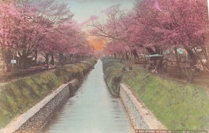 KOGANEI NEAR TOYKO JAPAN~SPRING SCENES~1900s HAND COLORED PHOTO POSTCARD