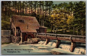 Birmingham Alabama 1940s Postcard Feeding The Swans Avondale Park