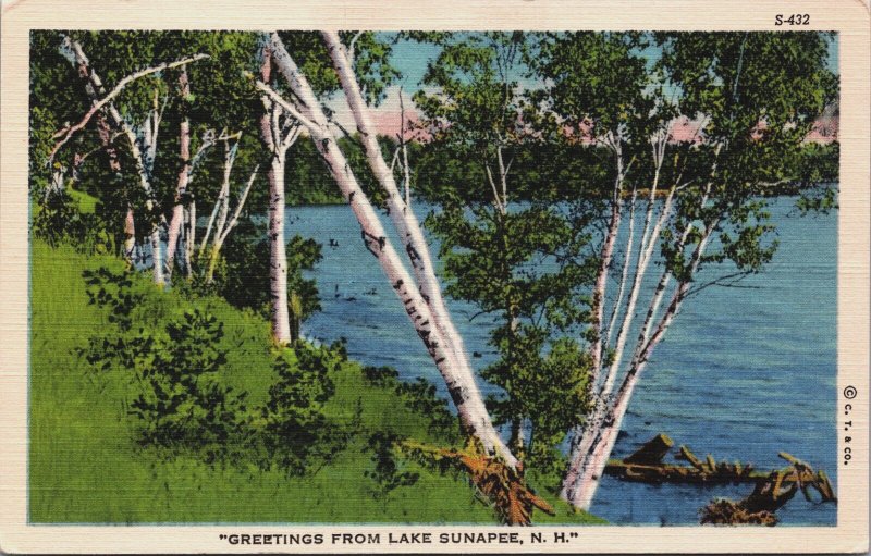 Greetings From Lake Sunapee New Hampshire Vintage Postcard C198