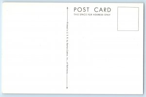 c1930's Graceful Wren Malurus Elegans Australia Birds By John Gould Postcard