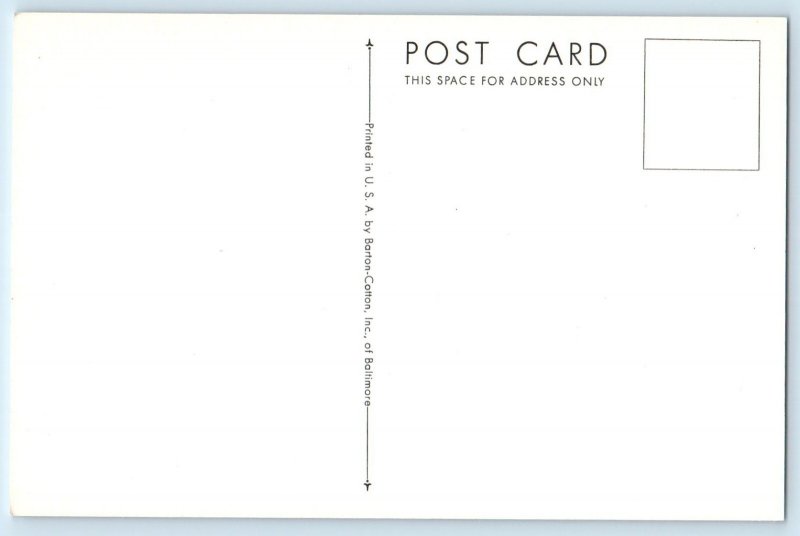 c1930's Graceful Wren Malurus Elegans Australia Birds By John Gould Postcard