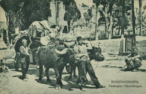 turkey, CONSTANTINOPLE, Turkish Ox Cart (1910s) Postcard