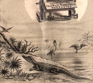 1870s-80s The Eclipse Wringer Bayou Scene Alligator Turtle A.L Gere #V