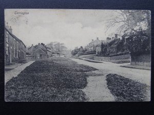 North Yorkshire TERRINGTON Main Street c1914 Postcard