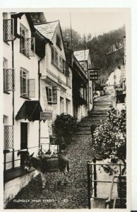 Devon Postcard - Clovelly - High Street - Real Photograph - Ref TZ9280