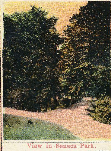 Multiview Greetings from Seneca Park, Rochester, New York - pm 1912 - DB