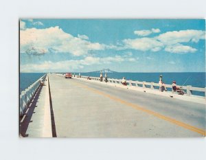 Postcard Sunshine Skyway Bridge St. Petersburg Florida USA