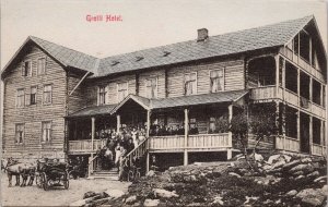 Grotli Hotel Norway Norge Norvege Unused Postcard H60