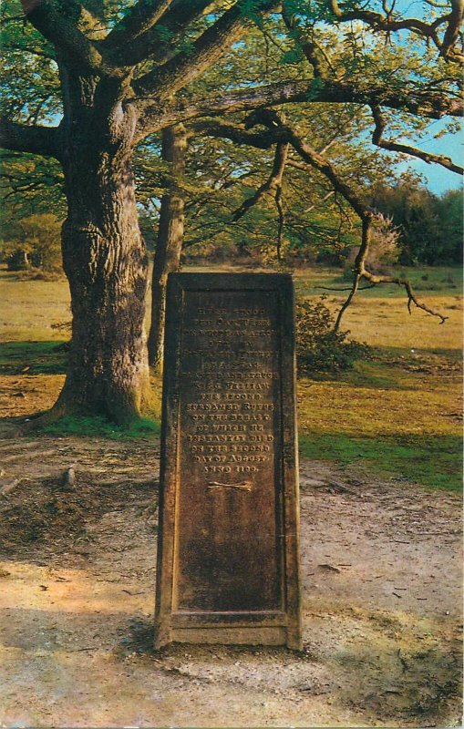 UK England Postcard New Forest The Rufus Stone historical landmark monument