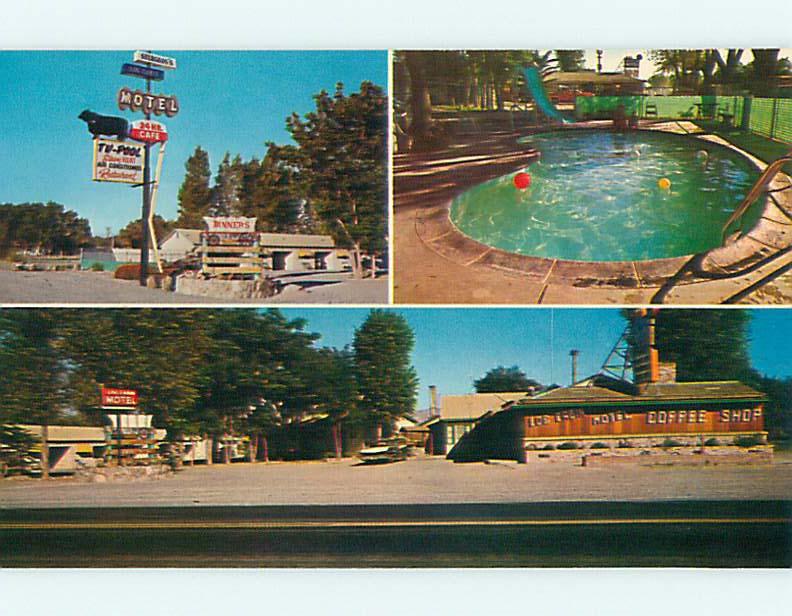 Unused Pre-1980 STURGEON'S MOTEL & cafe RESTAURANT Lovelock Nevada NV s3353