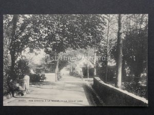 Channel Isles: Jersey, Rue Etroite A La Haule - La Haule Lane - Old PC by F.Foot