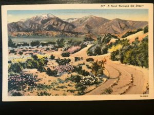 Vintage Postcard 1937 A Road Through the Cactus Desert California (CA)