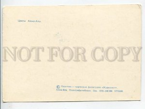 463988 USSR 1974 year Kazakhstan Alma-Ata flowers postcard