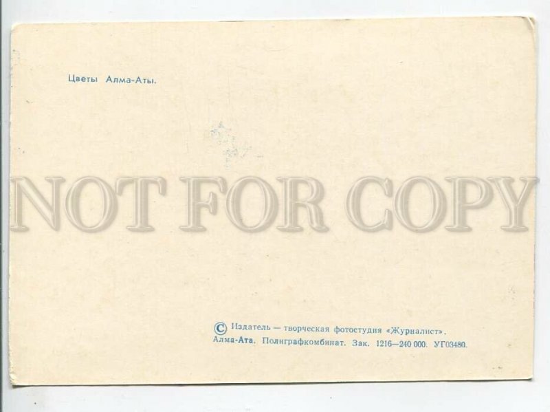 463988 USSR 1974 year Kazakhstan Alma-Ata flowers postcard