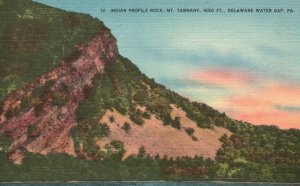 Vintage Postcard 1930's Indian Profile Rock Mt. Tammany Delaware Water Gap PA