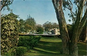 Rancho Santa Fe CA San Diego County Unused Vintage Postcard H21