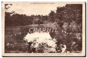 Old Postcard The picturesque Brittany Etang Forest of Coplo