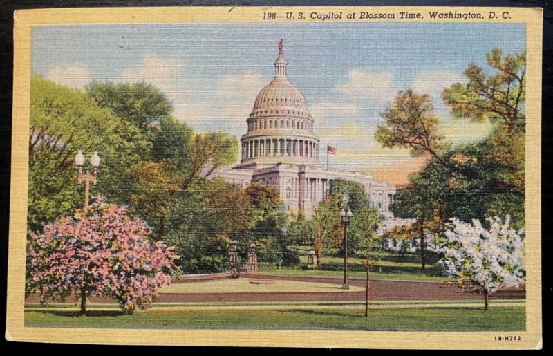 Vintage Postcard 1952 U.S. Capitol at Cherry Blossom Time, Washington, D.C.