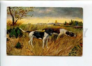 3157001 HUNT Dogs HOUNDS Pointer by SCHONIAN Vintage TSN PC