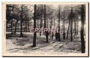 Old Postcard Zion near Croix de Vie A corner of the beautiful pine forest