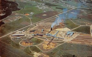 Spearfish, SD South Dakota  HOMESTAKE SAWMILL & AREA  Bird's Eye View  Postcard