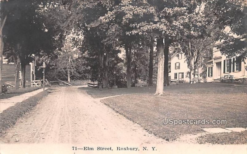 Elm Street - Roxbury, New York NY  