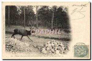 Old Postcard Hunting hounds in a Forest of Fontainebleau The stag at bay