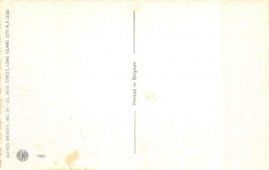 ALFRED MAINZER  Dressed CATS #4983 POKER~CARD GAME  Beer~Cigars  Belgium Card