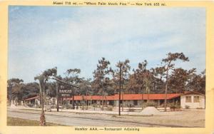 Myrtle Beach South Carolina~El Rancho Motel~Where Palm Meets Pine~c1950s Pc