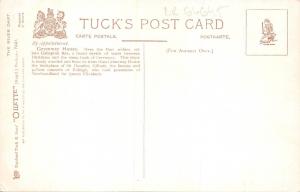 BR64645 greenaway ferry   the river dart  postcard   uk