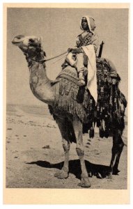 Woman Riding Camel Egypt Postcard