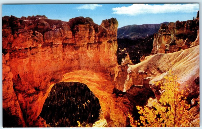 c1950s Bryce Canyon, UT Natural Bridge Arch Park Colorful Chrome Photo PC A318