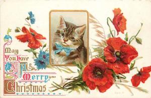 Embossed Christmas Postcard Ser. P; H. Maguire Tabby Cat & Red Poppies Unposted