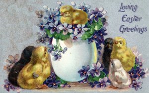 C. 1910 Baby Chick Chicken Giant Egg Easter Raphael Tuck Vintage Postcard P98