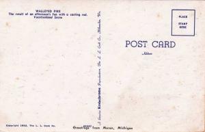 Walleyed Pike - Fishing Catch - Sport