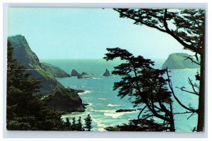 Vintage Oregon Coast Near Cape Mears Postcard P114E