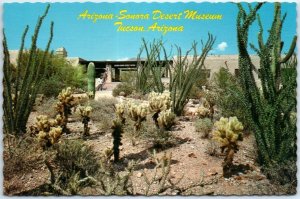 Postcard - Arizona-Sonora Desert Museum - Tucson, Arizona