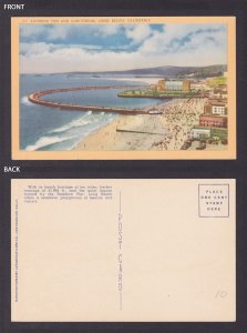 Postcard, United States, Long Beach CA, Rainbow Pier and Auditorium