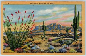 1936 Nr Apache Junction, AZ Superstition Mountain Desert Indian Navajo PC A253