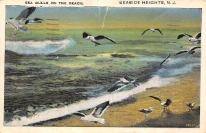 Seaside Heights New Jersey Sea Gulls On The Beach, White Border Postcard U7380