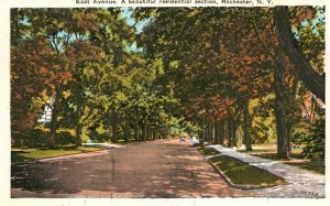 Vintage Postcard East Avenue Residential Section Roadways Rochester New York NY