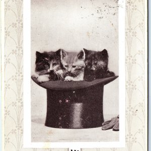 c1910s Adorable Kittens in Top Hat Best Wishes Postcard Cute Cats Calico A115
