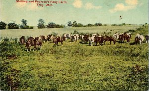 Postcard Shilling And Pearson's Pony Farm Troy Ohio Horse Pasture pc3384