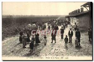 Old Postcard Scenes Wine Harvest Vine Back to Top