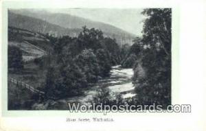 Australia River Scene Warburton Warburton River Scene