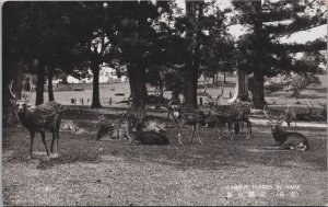 Japan Famous Places In Nara Vintage Postcard C194